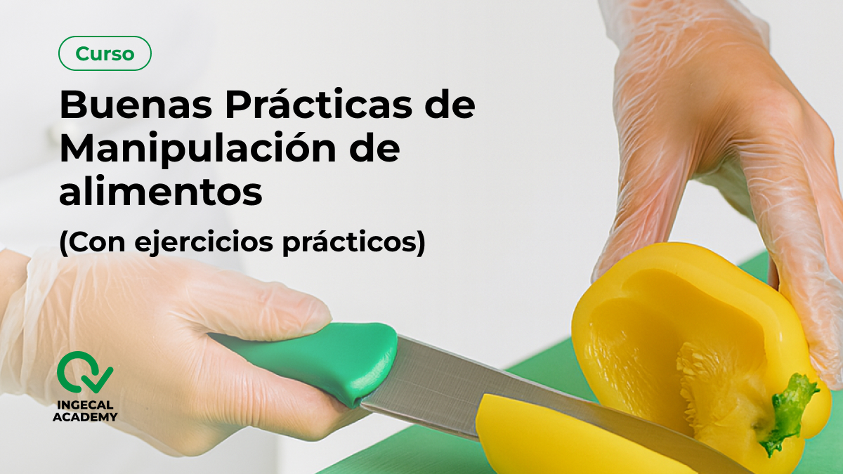 Curso de  BPM alimentos con ejercicios pr&aacute;cticos