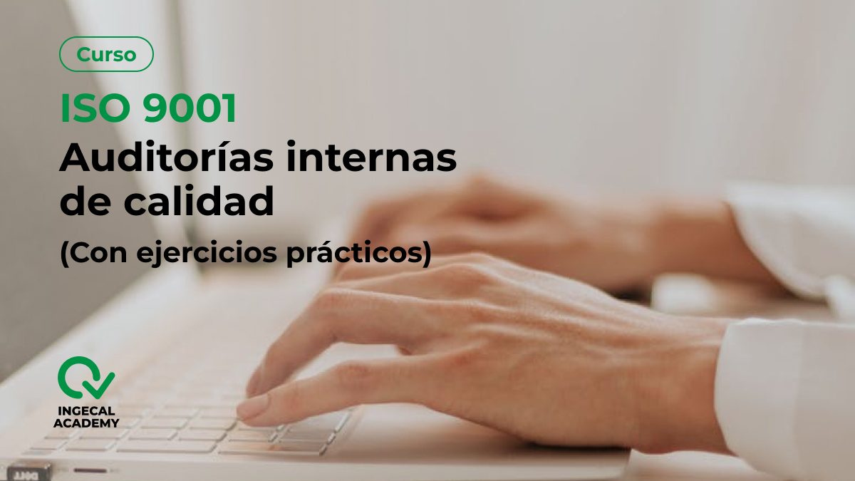 Curso de  ISO 9001 auditorias internas con ejerc. pr&aacute;cticos