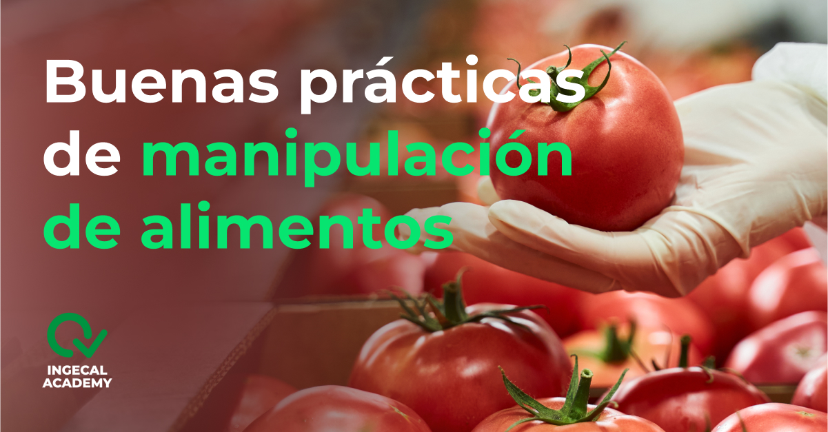 Curso de  BPM en la industria alimentaria