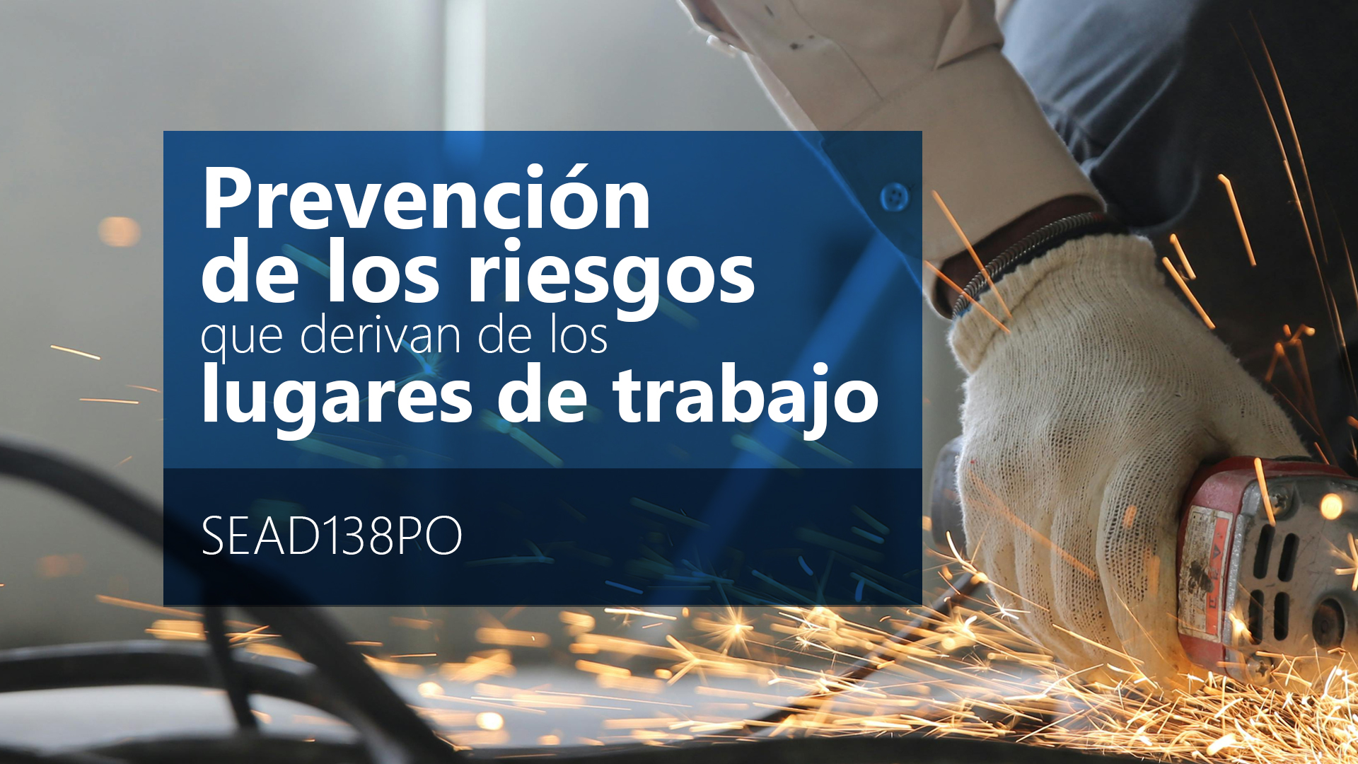 Curso de  Prevenci&oacute;n riesgos lugares trabajo (SEAD138PO)